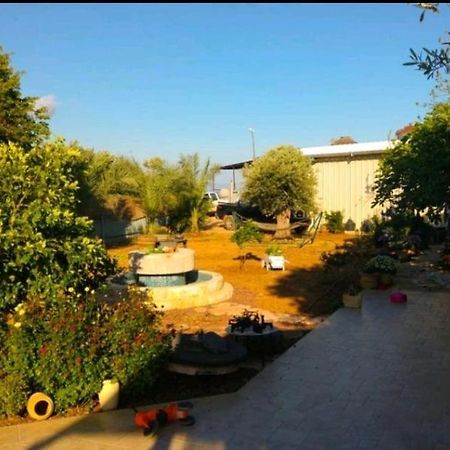 בחצר של טובה Apartment Hazon ภายนอก รูปภาพ