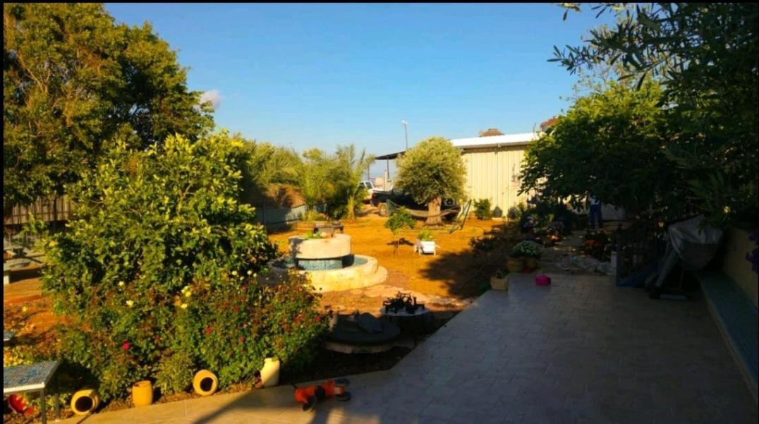 בחצר של טובה Apartment Hazon ภายนอก รูปภาพ